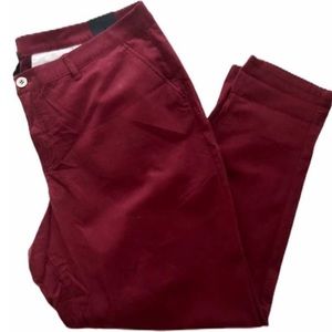 NWT Lane Bryant Boyfriend Chinos